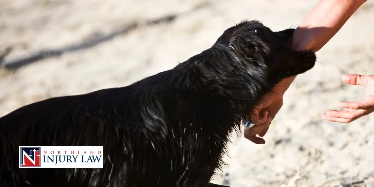 Gladstone Dog Bite Lawyer